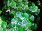 Natural Dark Green and Purple Cubic Fluorite Specimens x 2 From Erongo, Namibia - Toprock Gemstones and Minerals 
