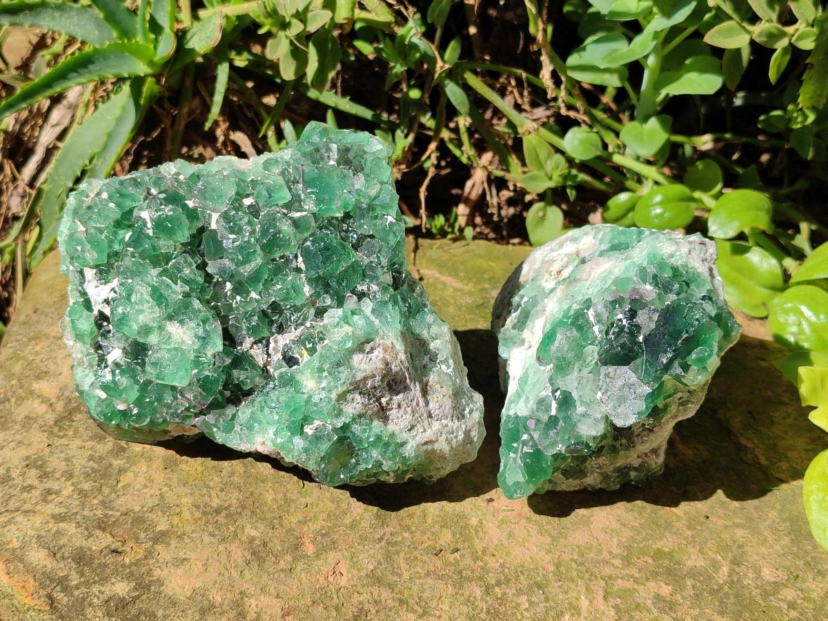 Natural Dark Green and Purple Cubic Fluorite Specimens x 2 From Erongo, Namibia - Toprock Gemstones and Minerals 