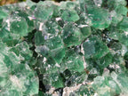 Natural Dark Green and Purple Cubic Fluorite Specimens x 2 From Erongo, Namibia - Toprock Gemstones and Minerals 