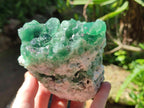 Natural Dark Green and Purple Cubic Fluorite Specimens x 2 From Erongo, Namibia - Toprock Gemstones and Minerals 
