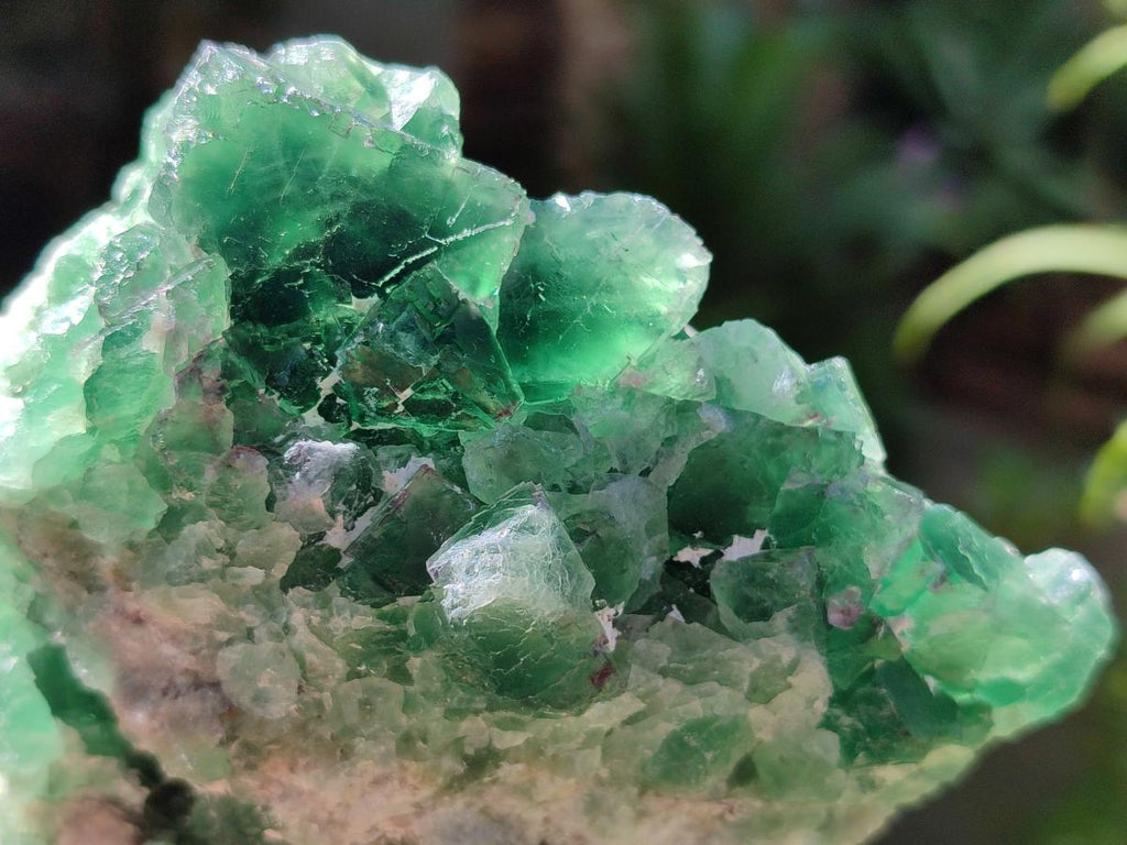 Natural Dark Green and Purple Cubic Fluorite Specimens x 2 From Erongo, Namibia - Toprock Gemstones and Minerals 