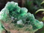 Natural Dark Green and Purple Cubic Fluorite Specimens x 2 From Erongo, Namibia - Toprock Gemstones and Minerals 