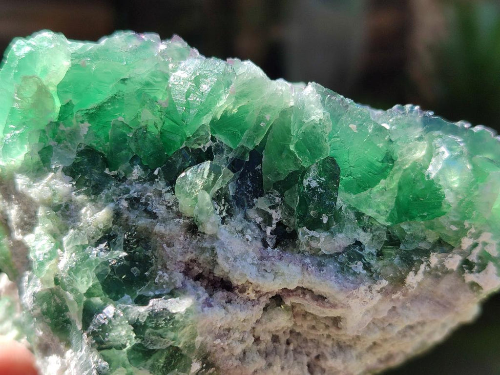 Natural Dark Green and Purple Cubic Fluorite Specimens x 2 From Erongo, Namibia - Toprock Gemstones and Minerals 