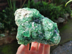 Natural Dark Green and Purple Cubic Fluorite Specimens x 2 From Erongo, Namibia - Toprock Gemstones and Minerals 