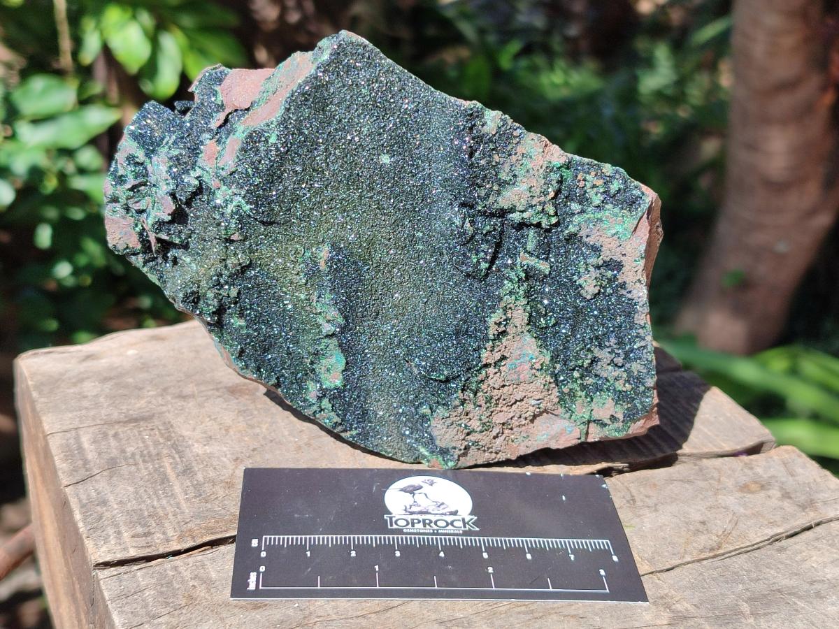 Natural Large Cabinet Libethenite Crystals on Dolomite Matrix Specimen x 1 From Shituru, Congo - Toprock Gemstones and Minerals 