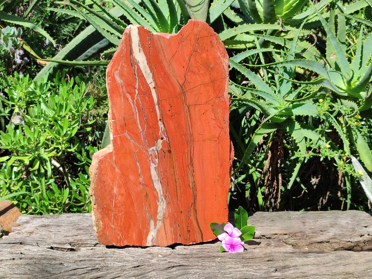 Natural XL Red Jasper Sliced Slab x 1 From Southern Africa - Toprock Gemstones and Minerals 