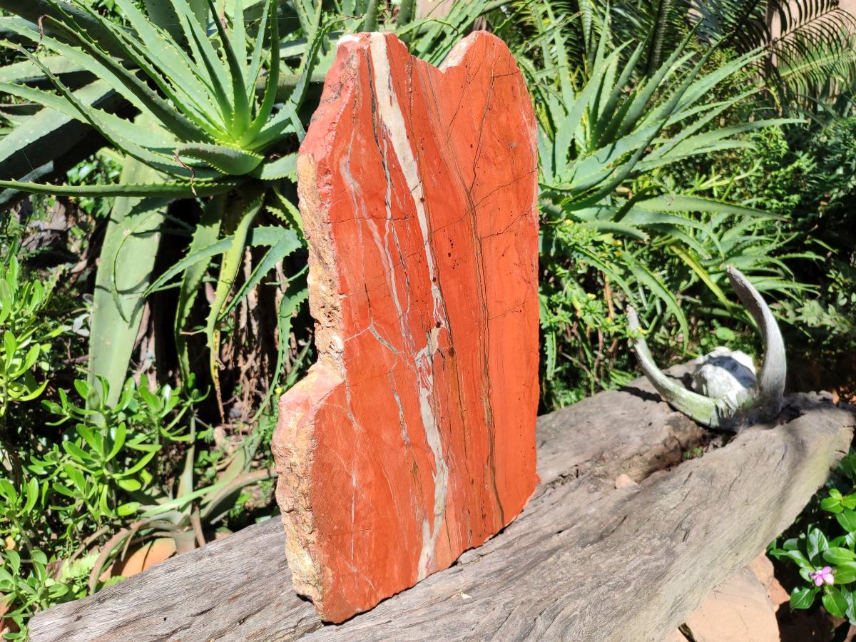 Natural XL Red Jasper Sliced Slab x 1 From Southern Africa - Toprock Gemstones and Minerals 