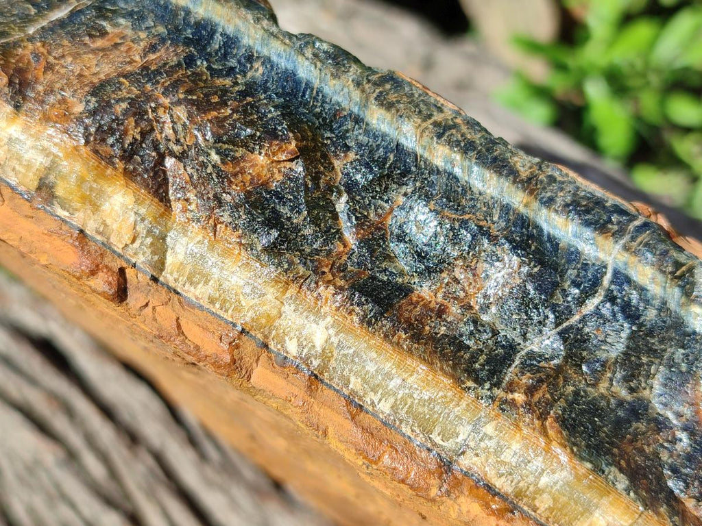 Natural XL Golden Blue Tigers Eye Slab x 1 From Prieska, South Africa - Toprock Gemstones and Minerals 
