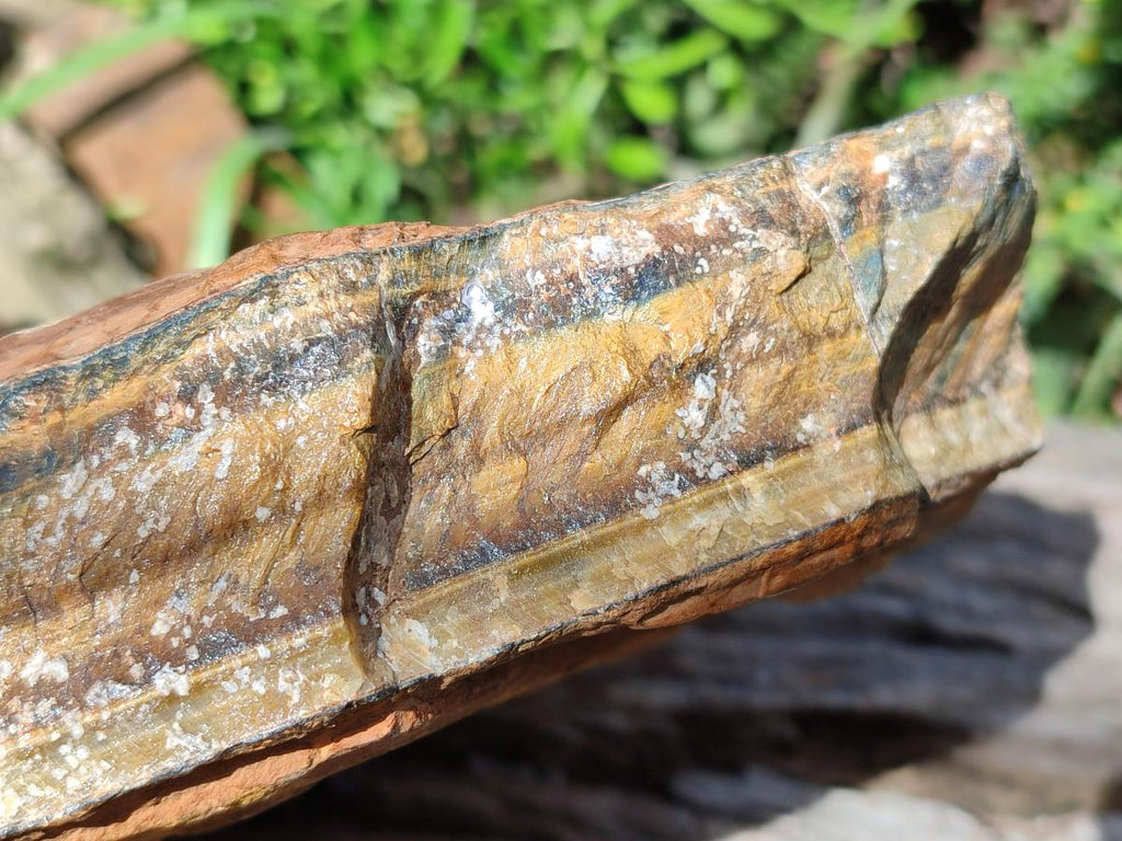 Natural XL Golden Blue Tigers Eye Slab x 1 From Prieska, South Africa - Toprock Gemstones and Minerals 