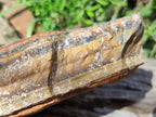 Natural XL Golden Blue Tigers Eye Slab x 1 From Prieska, South Africa - Toprock Gemstones and Minerals 