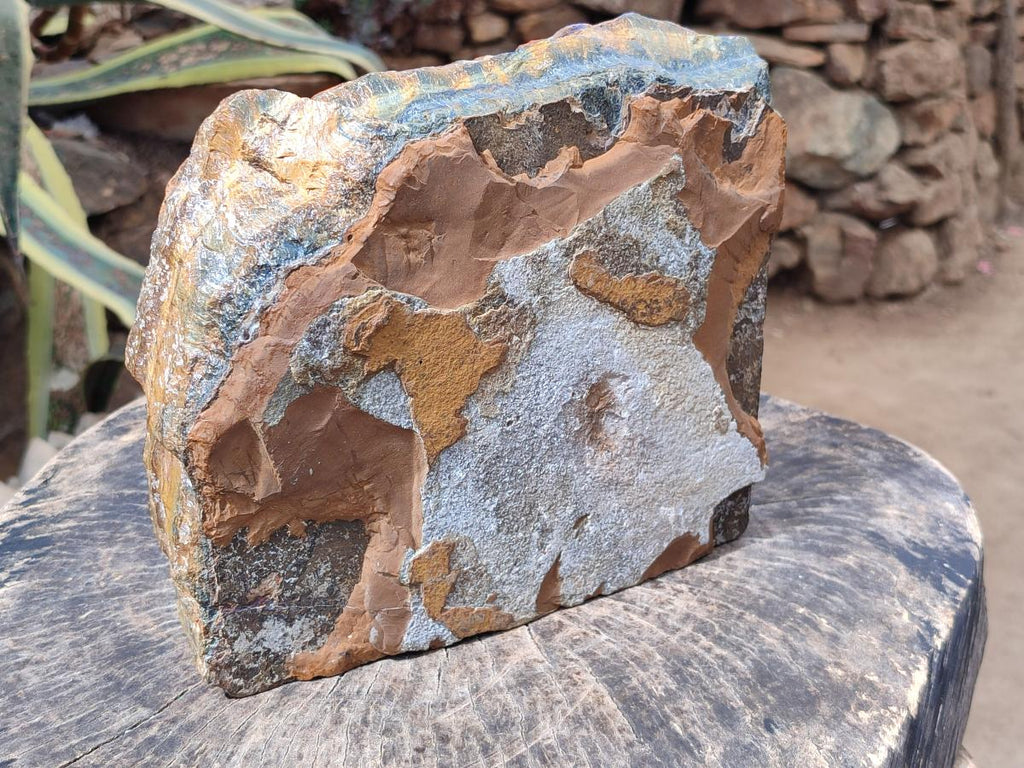 Natural XL Golden Blue Tigers Eye Slab x 1 From Prieska, South Africa - Toprock Gemstones and Minerals 