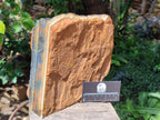 Natural XL Golden Blue Tigers Eye Slab x 1 From Prieska, South Africa - Toprock Gemstones and Minerals 