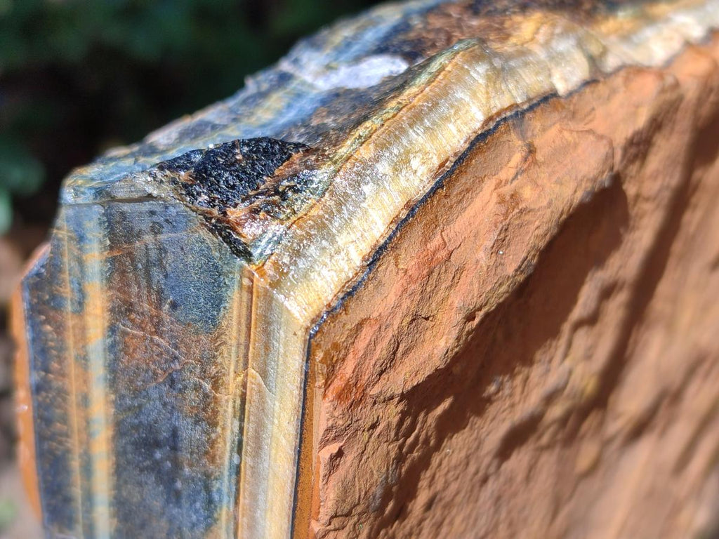 Natural XL Golden Blue Tigers Eye Slab x 1 From Prieska, South Africa - Toprock Gemstones and Minerals 