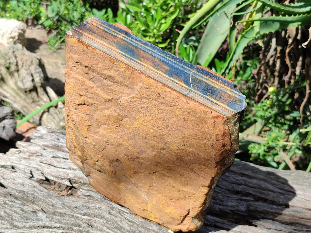 Natural XL Golden Blue Tigers Eye Slab x 1 From Prieska, South Africa - Toprock Gemstones and Minerals 