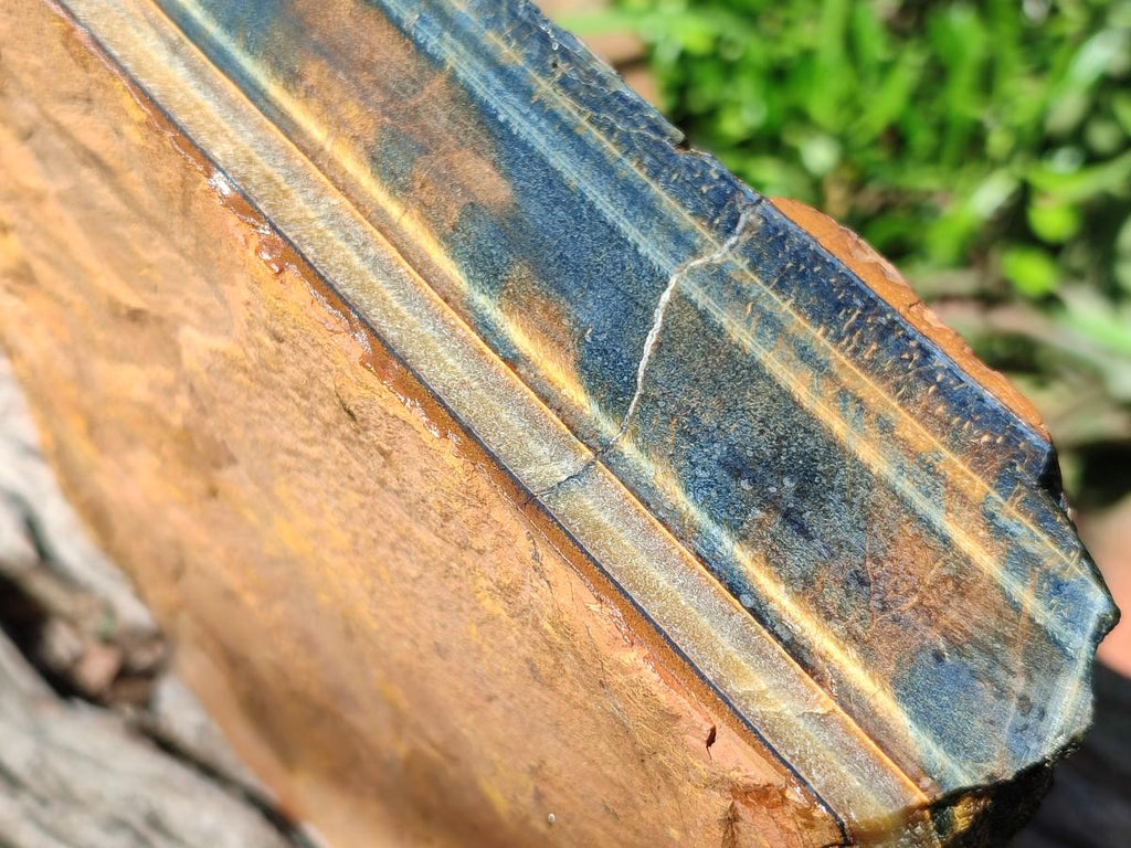 Natural XL Golden Blue Tigers Eye Slab x 1 From Prieska, South Africa - Toprock Gemstones and Minerals 