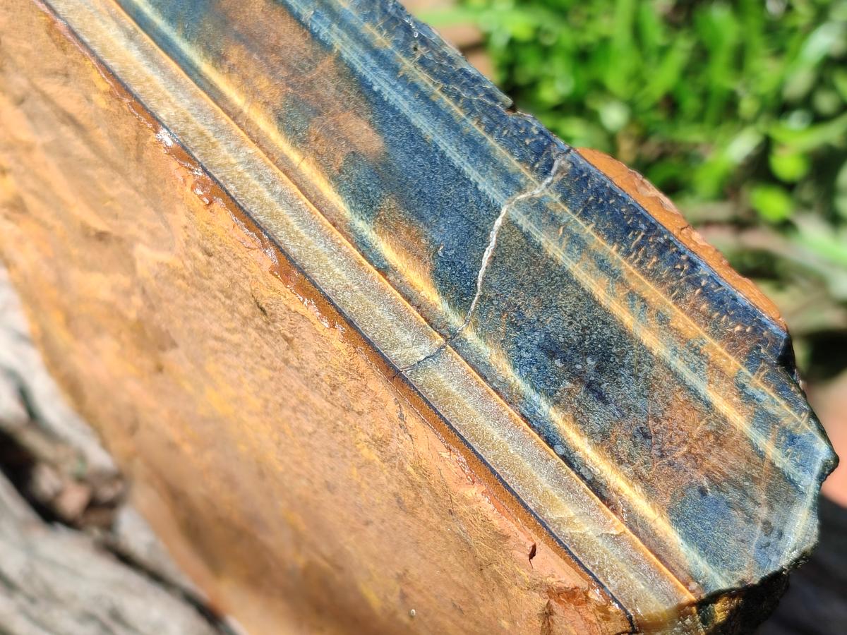 Natural XL Golden Blue Tigers Eye Slab x 1 From Prieska, South Africa - Toprock Gemstones and Minerals 