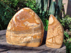 Polished Picture Stone Jasper Standing Display Pieces x 2 From Ais-Ais, Namibia - Toprock Gemstones and Minerals 