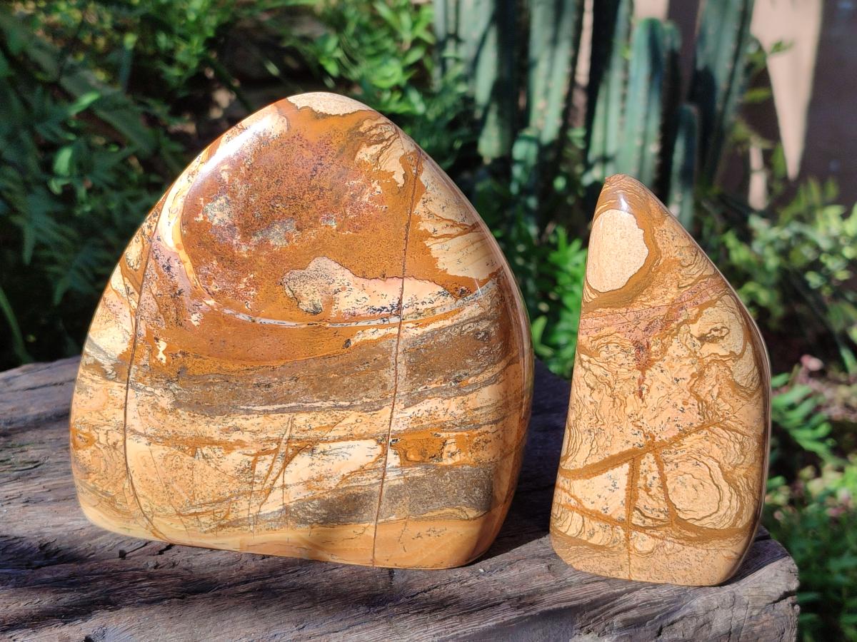 Polished Picture Stone Jasper Standing Display Pieces x 2 From Ais-Ais, Namibia - Toprock Gemstones and Minerals 