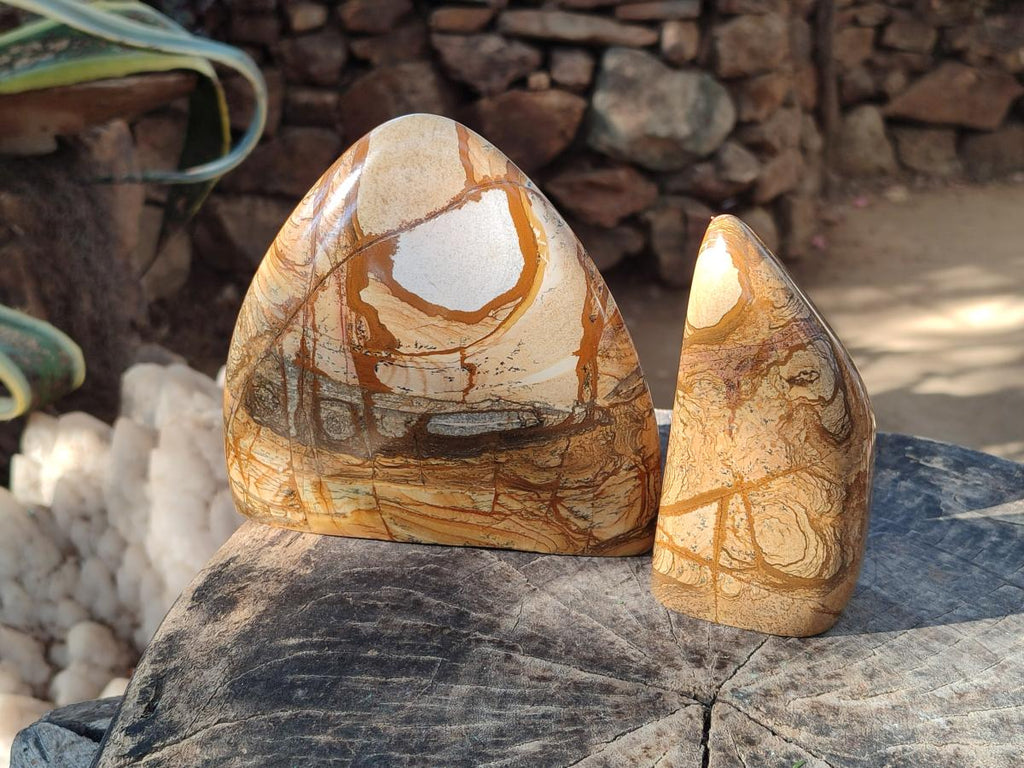 Polished Picture Stone Jasper Standing Display Pieces x 2 From Ais-Ais, Namibia - Toprock Gemstones and Minerals 