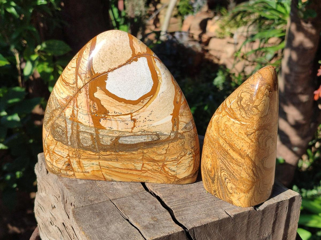 Polished Picture Stone Jasper Standing Display Pieces x 2 From Ais-Ais, Namibia - Toprock Gemstones and Minerals 