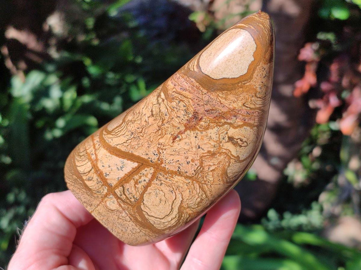 Polished Picture Stone Jasper Standing Display Pieces x 2 From Ais-Ais, Namibia - Toprock Gemstones and Minerals 