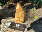 Polished Picture Stone Jasper Standing Display Pieces x 2 From Ais-Ais, Namibia - Toprock Gemstones and Minerals 