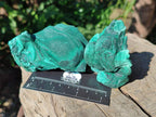 Natural Botryoidal Malachite Specimens x 6 From Congo - Toprock Gemstones and Minerals 