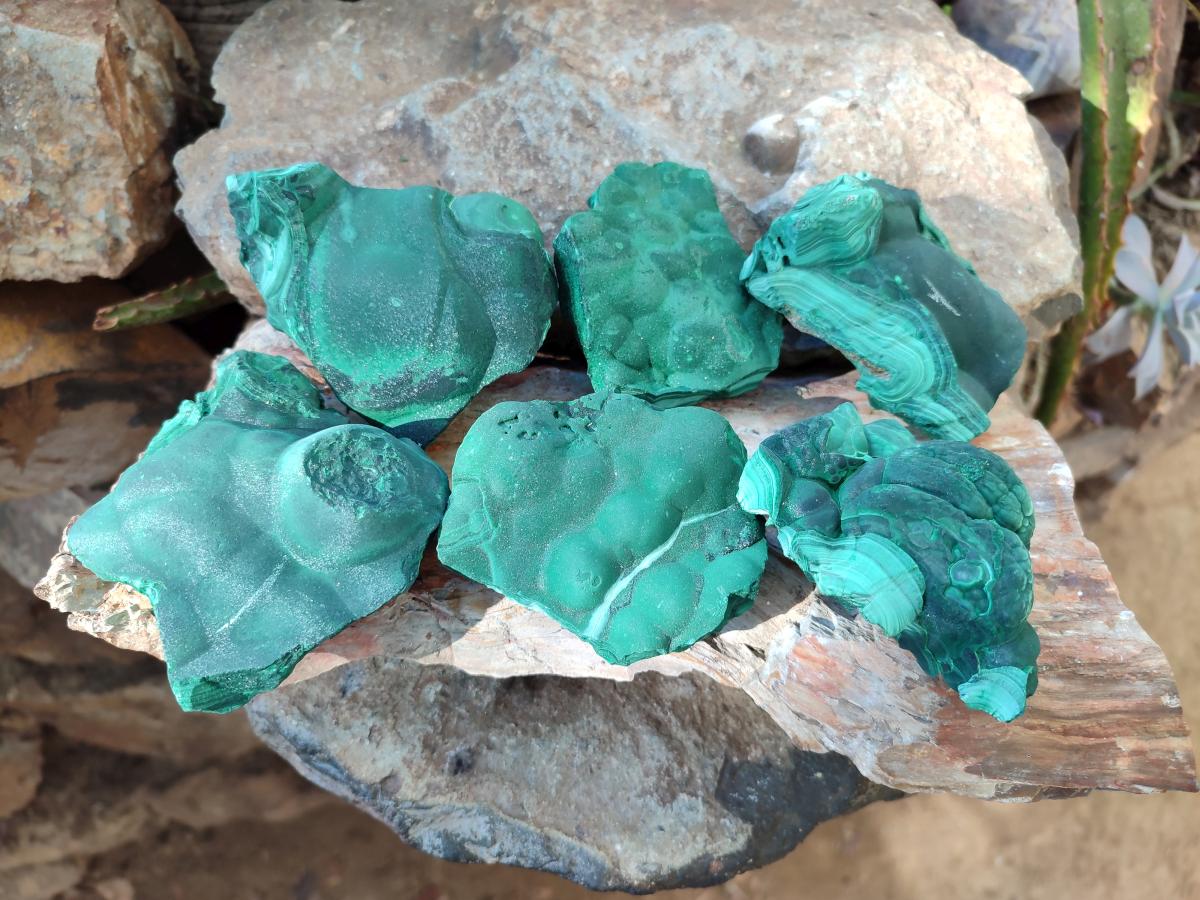 Natural Botryoidal Malachite Specimens x 6 From Congo - Toprock Gemstones and Minerals 