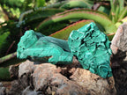 Natural Botryoidal Malachite Specimens x 6 From Congo - Toprock Gemstones and Minerals 