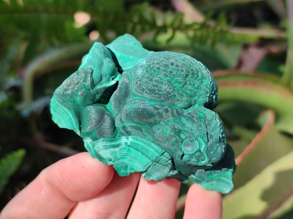 Natural Botryoidal Malachite Specimens x 6 From Congo - Toprock Gemstones and Minerals 