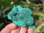 Natural Botryoidal Malachite Specimens x 6 From Congo - Toprock Gemstones and Minerals 