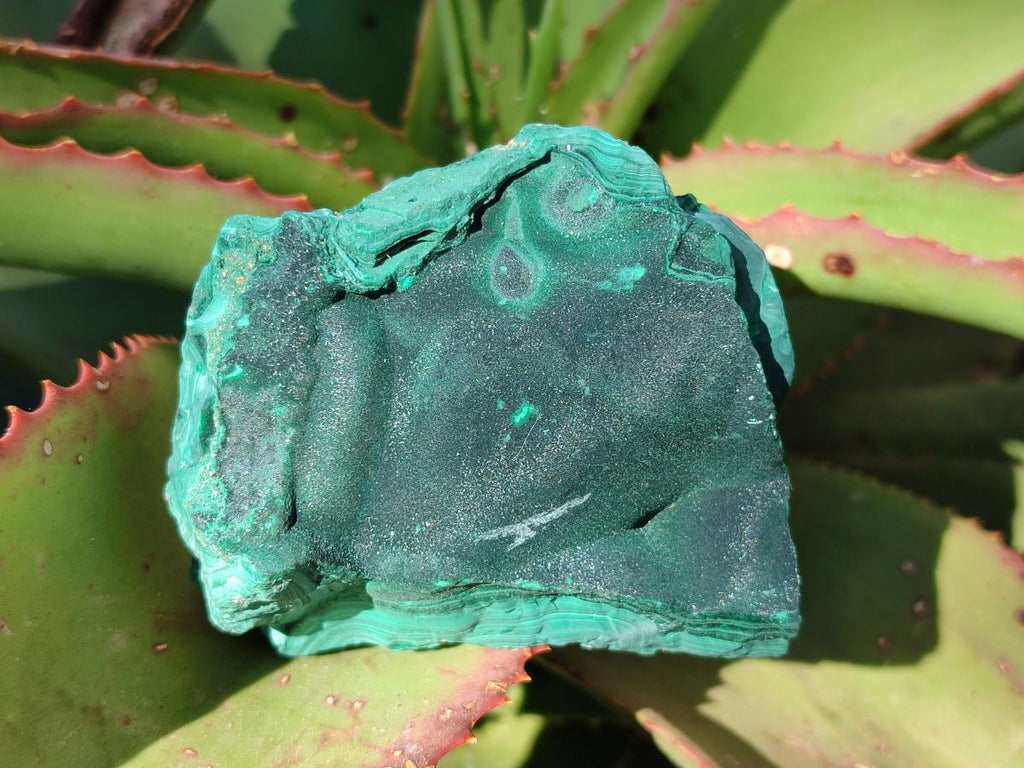 Natural Botryoidal Malachite Specimens x 6 From Congo - Toprock Gemstones and Minerals 