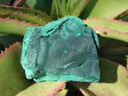 Natural Botryoidal Malachite Specimens x 6 From Congo - Toprock Gemstones and Minerals 
