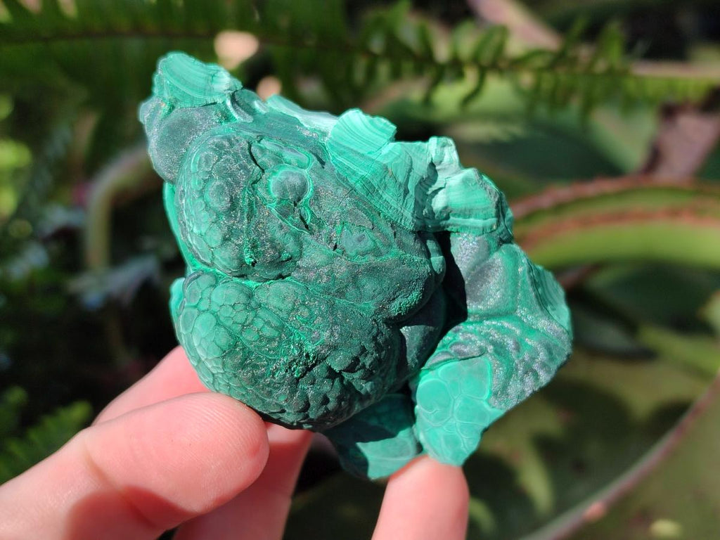 Natural Botryoidal Malachite Specimens x 6 From Congo - Toprock Gemstones and Minerals 
