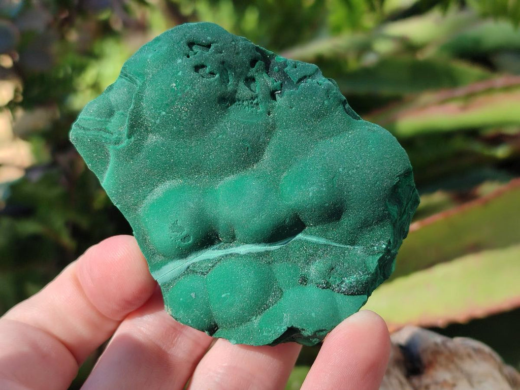 Natural Botryoidal Malachite Specimens x 6 From Congo - Toprock Gemstones and Minerals 