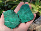 Natural Botryoidal Malachite Specimens x 6 From Congo - Toprock Gemstones and Minerals 