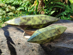 Polished Double Terminated Leopard Stone Crystals x 4 From Zimbabwe - Toprock Gemstones and Minerals 