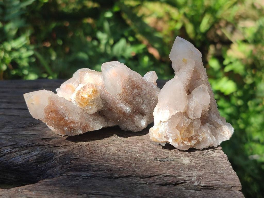 Natural Smokey Spirit Quartz Clusters with Hematoid Coating x 12 From Boekenhouthoek, South Africa - Toprock Gemstones and Minerals 