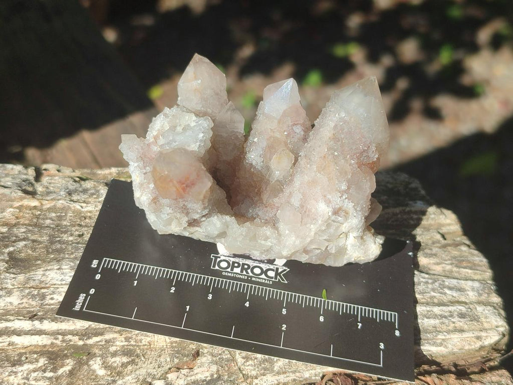 Natural Smokey Spirit Quartz Clusters with Hematoid Coating x 12 From Boekenhouthoek, South Africa - Toprock Gemstones and Minerals 