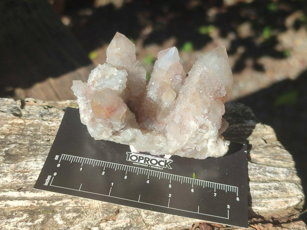 Natural Smokey Spirit Quartz Clusters with Hematoid Coating x 12 From Boekenhouthoek, South Africa - Toprock Gemstones and Minerals 