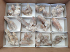 Natural Smokey Spirit Quartz Clusters with Hematoid Coating x 12 From Boekenhouthoek, South Africa - Toprock Gemstones and Minerals 