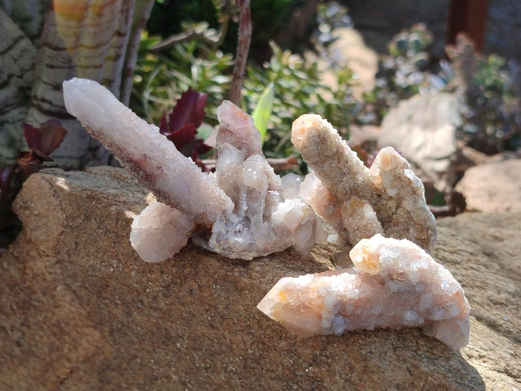 Natural Smokey Spirit Quartz Clusters with Hematoid Coating x 12 From Boekenhouthoek, South Africa - Toprock Gemstones and Minerals 