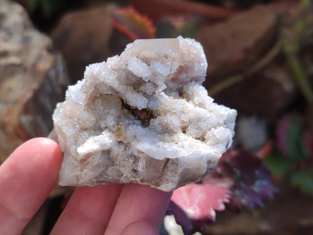 Natural Smokey Spirit Quartz Clusters with Hematoid Coating x 12 From Boekenhouthoek, South Africa - Toprock Gemstones and Minerals 