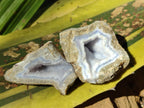 Polished On One Side Blue Lace Agate Geodes x 12 From Nsanje, Malawi - Toprock Gemstones and Minerals 