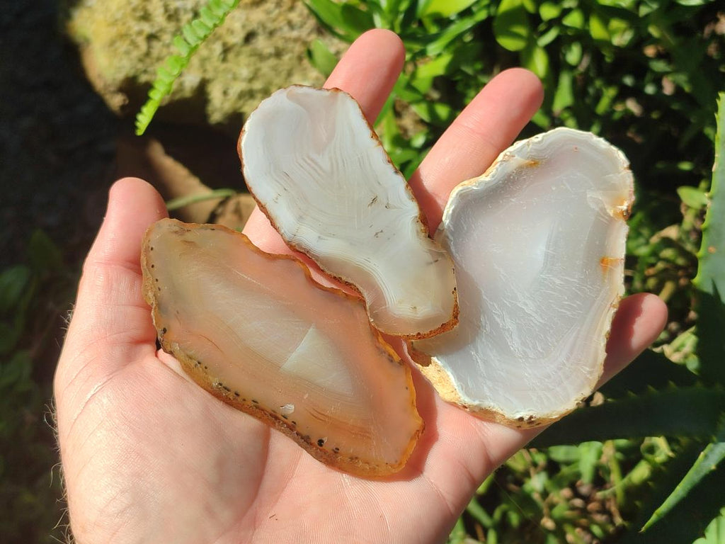 Polished Banded Agate Slices x 24 From Madagascar - Toprock Gemstones and Minerals 