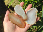 Polished Banded Agate Slices x 24 From Madagascar - Toprock Gemstones and Minerals 
