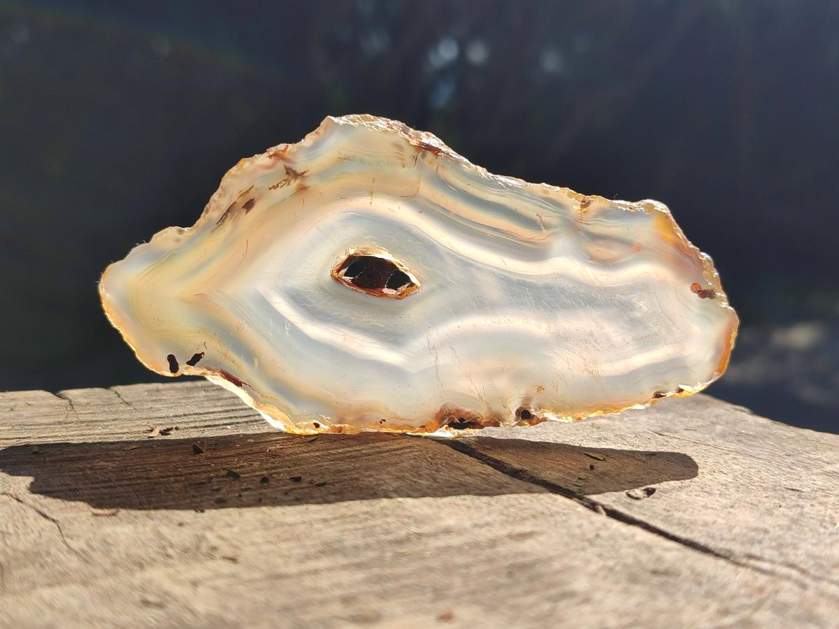 Polished Banded Agate Slices x 24 From Madagascar - Toprock Gemstones and Minerals 