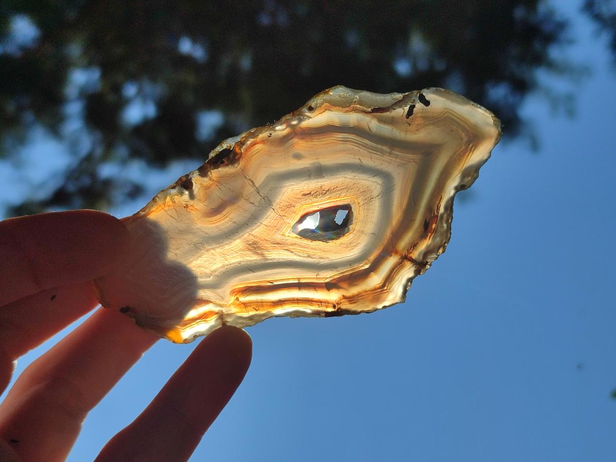 Polished Banded Agate Slices x 24 From Madagascar - Toprock Gemstones and Minerals 