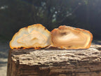 Polished Banded Agate Slices x 24 From Madagascar - Toprock Gemstones and Minerals 