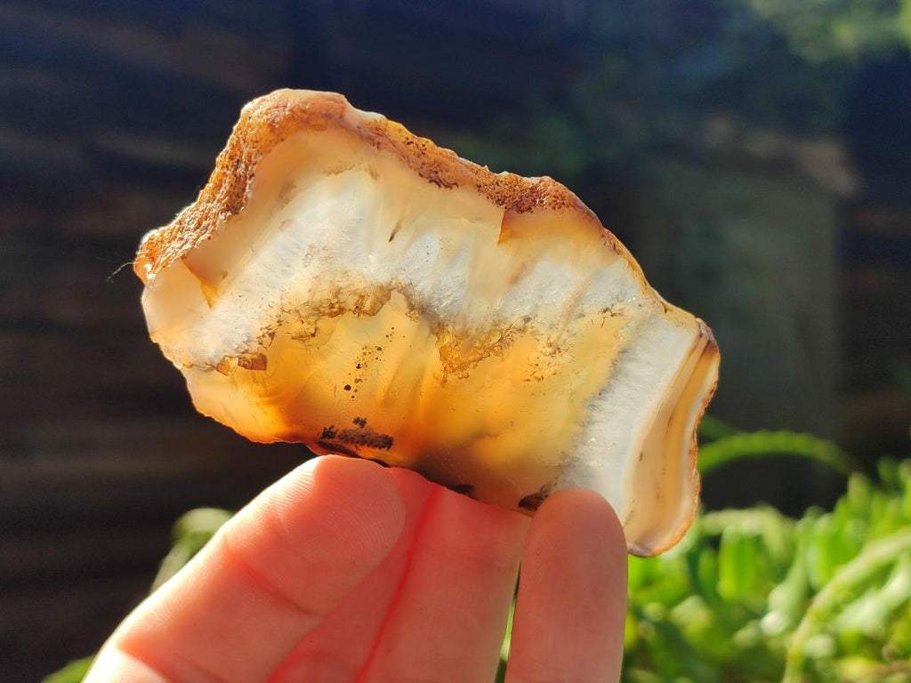 Polished Banded Agate Slices x 24 From Madagascar - Toprock Gemstones and Minerals 